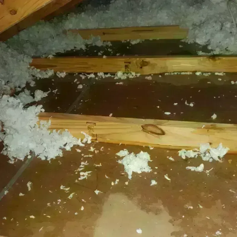 Attic Water Damage in Cato, WI