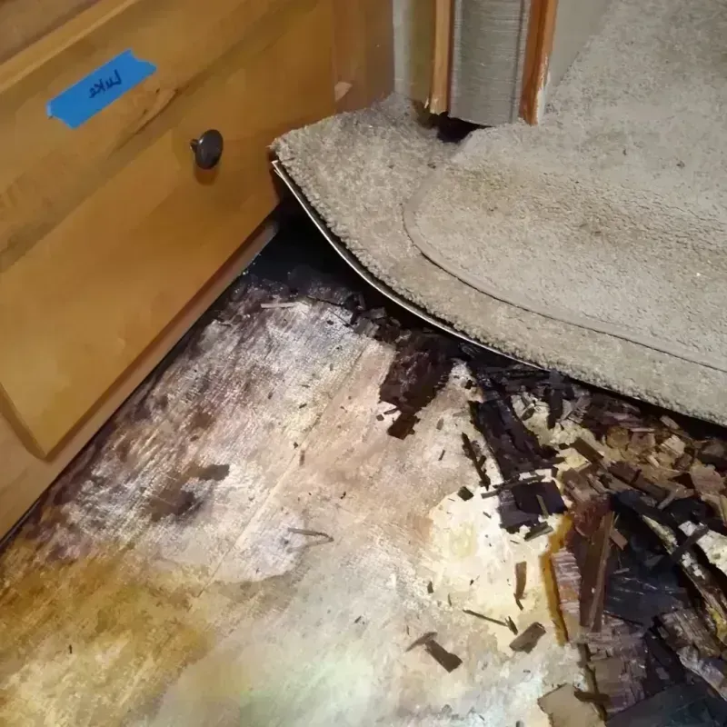 Wood Floor Water Damage in Cato, WI